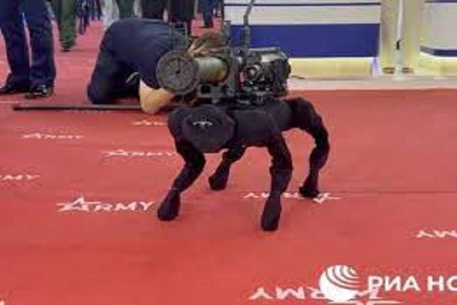 رونمایی از یک سگ رباتیک با قابلیت پرتاب راکت
